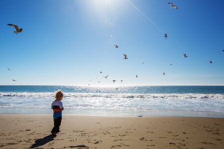 Happy and free boy on the beach with seagullsの写真素材