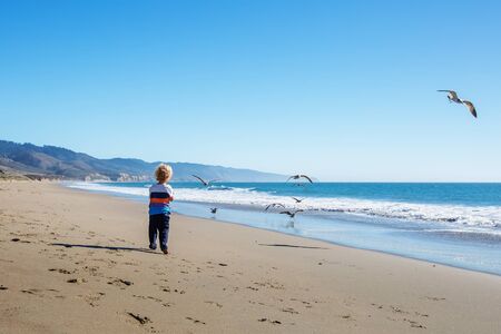 Happy and free boy on the beach with seagullsの写真素材