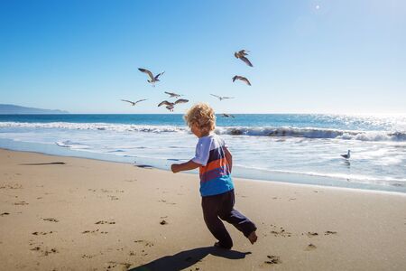 Happy and free boy on the beach with seagullsの写真素材