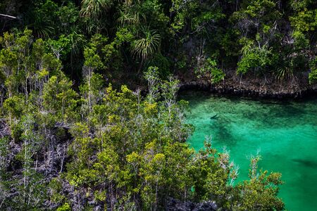 View from viewpoint of Piaynemo island, Raja Ampat, Indonesiaの写真素材