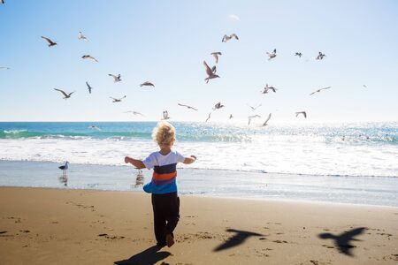Happy and free boy on the beach with seagullsの写真素材