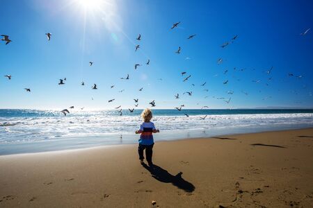 Happy and free boy on the beach with seagullsの写真素材
