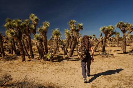 Hiker in joshua tree national parkの写真素材