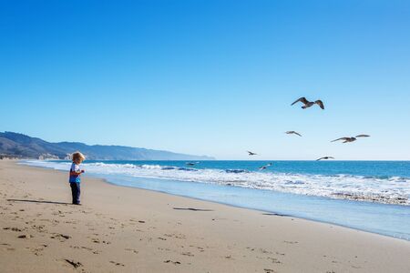 Happy and free boy on the beach with seagullsの写真素材