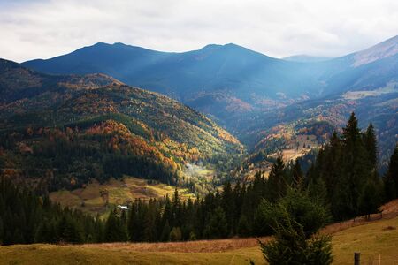 Carpathian mountains in autumn seasonの写真素材