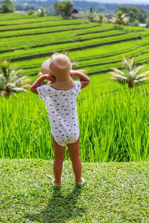 Boy looking at rice terrace in Bali, Indonesiaの写真素材