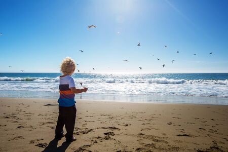 Happy and free boy on the beach with seagullsの写真素材