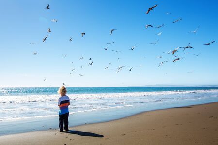 Happy and free boy on the beach with seagullsの写真素材