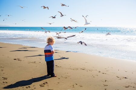 Happy and free boy on the beach with seagullsの写真素材