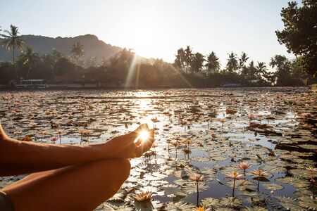 Woman practices yoga on a lake with lotus water liliesの写真素材