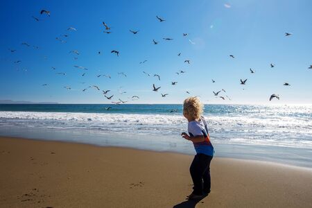Happy and free boy on the beach with seagullsの写真素材