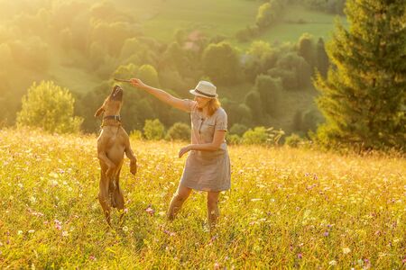Woman with a dog playing on a mountainの写真素材