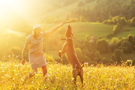 Woman with a dog playing on a mountainの写真素材