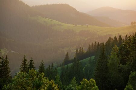 Beautiful sunset in Carpathian mountainsの写真素材