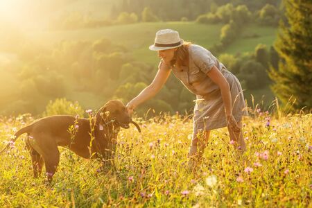 Woman with a dog playing on a mountainの写真素材