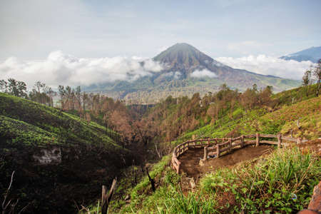 Semeru peak at the sunrise, Java, Indonesia