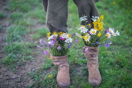 garden flowers in boots in autumn seasonの写真素材
