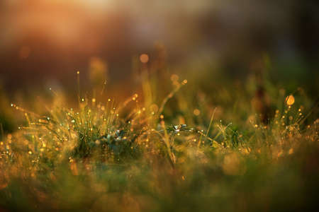 Beautiful sunrise in the mountains in autumnの写真素材