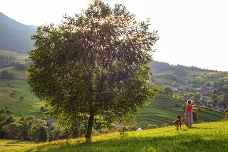 woman and dog in mountains at sunsetの写真素材
