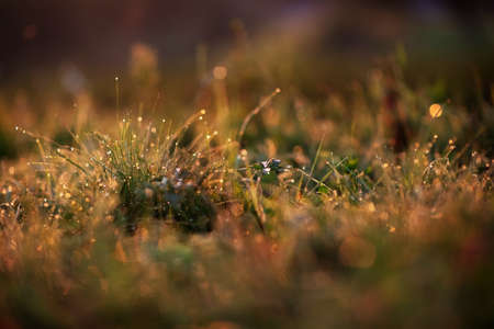 Beautiful sunrise in the mountains in autumnの写真素材