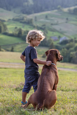 Curly boy and big dog sitting togetherの写真素材