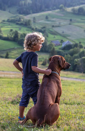 Curly boy and big dog sitting togetherの写真素材