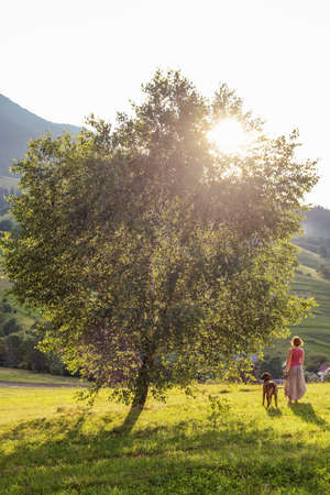 woman and dog in mountains at sunsetの写真素材