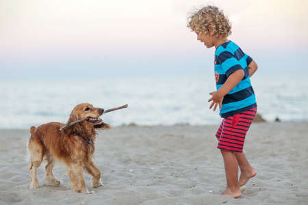 Curly boy playing with a dog by the seaの写真素材