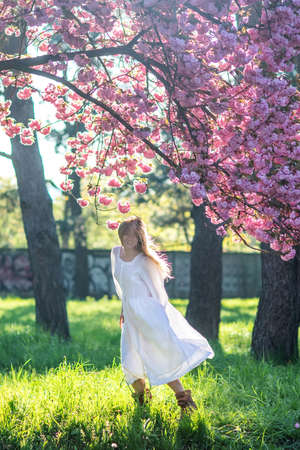 Beautiful woman in a sakura gardenの写真素材