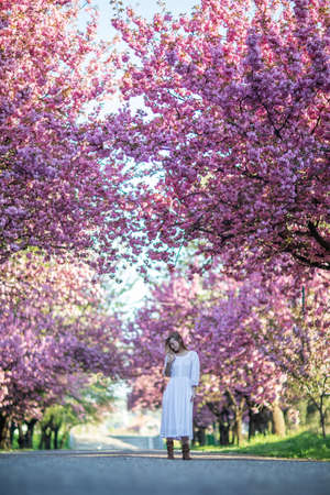 Beautiful woman in a sakura gardenの写真素材