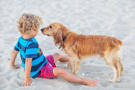 Curly boy playing with a dog by the seaの写真素材