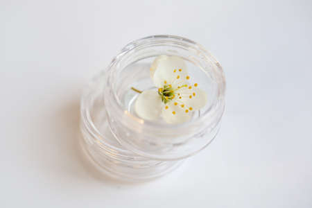 jar of cream on a white backgroundの写真素材