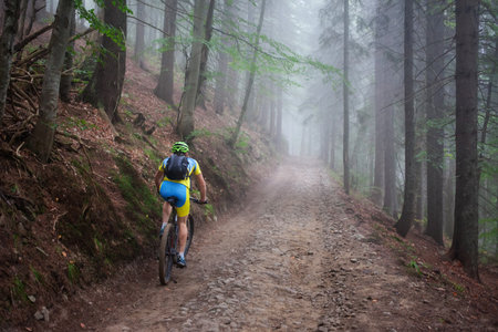 Cyclist in the autumn forestの写真素材