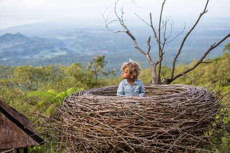 boy sitting in a large nest on a treeの写真素材