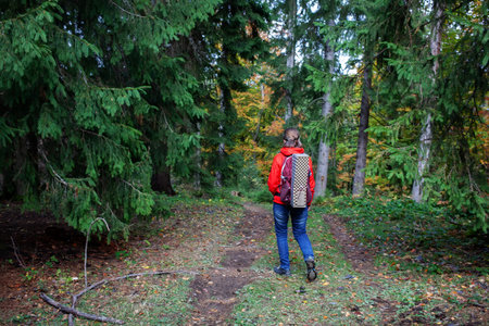 Hiker woman in moumtains in autumnの写真素材