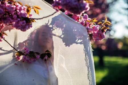 Beautiful woman in a sakura gardenの写真素材
