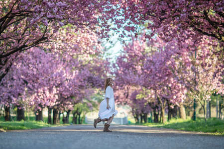 Beautiful woman in a sakura gardenの写真素材