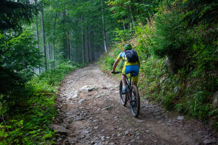 Cyclist in the autumn forestの写真素材