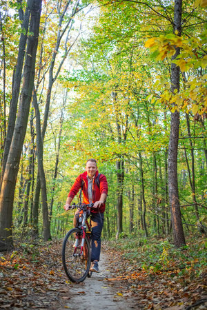 Cyclist in the autumn forestの写真素材