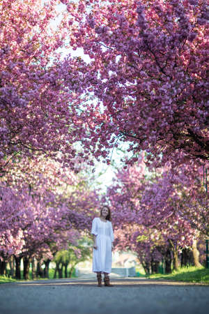 Beautiful woman in a sakura gardenの写真素材