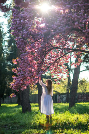 Beautiful woman in a sakura gardenの写真素材