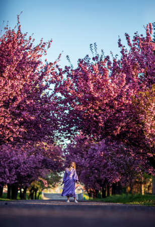 Beautiful woman in a sakura gardenの写真素材