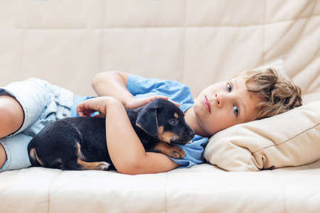 A boy with a little dog playing at homeの写真素材