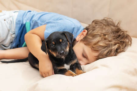 A boy with a little dog playing at homeの写真素材