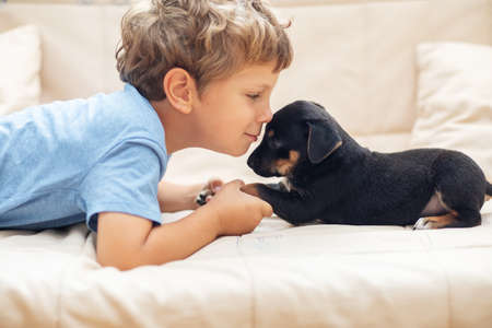 A boy with a little dog playing at homeの写真素材