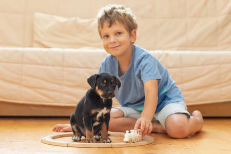 A boy with a little dog is playing in the nurseryの写真素材
