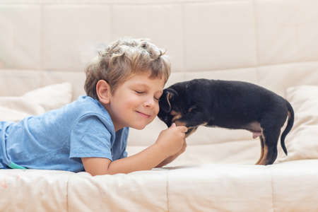 A boy with a little dog playing at homeの写真素材
