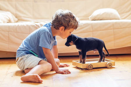 A boy with a little dog playing at homeの写真素材