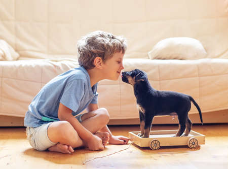 A boy with a little dog playing at homeの写真素材