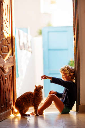 The boy feeds the cat at homeの写真素材